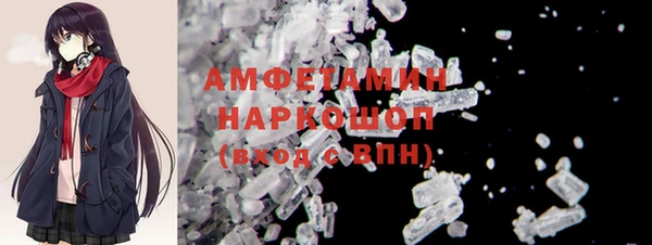 дмт Богданович